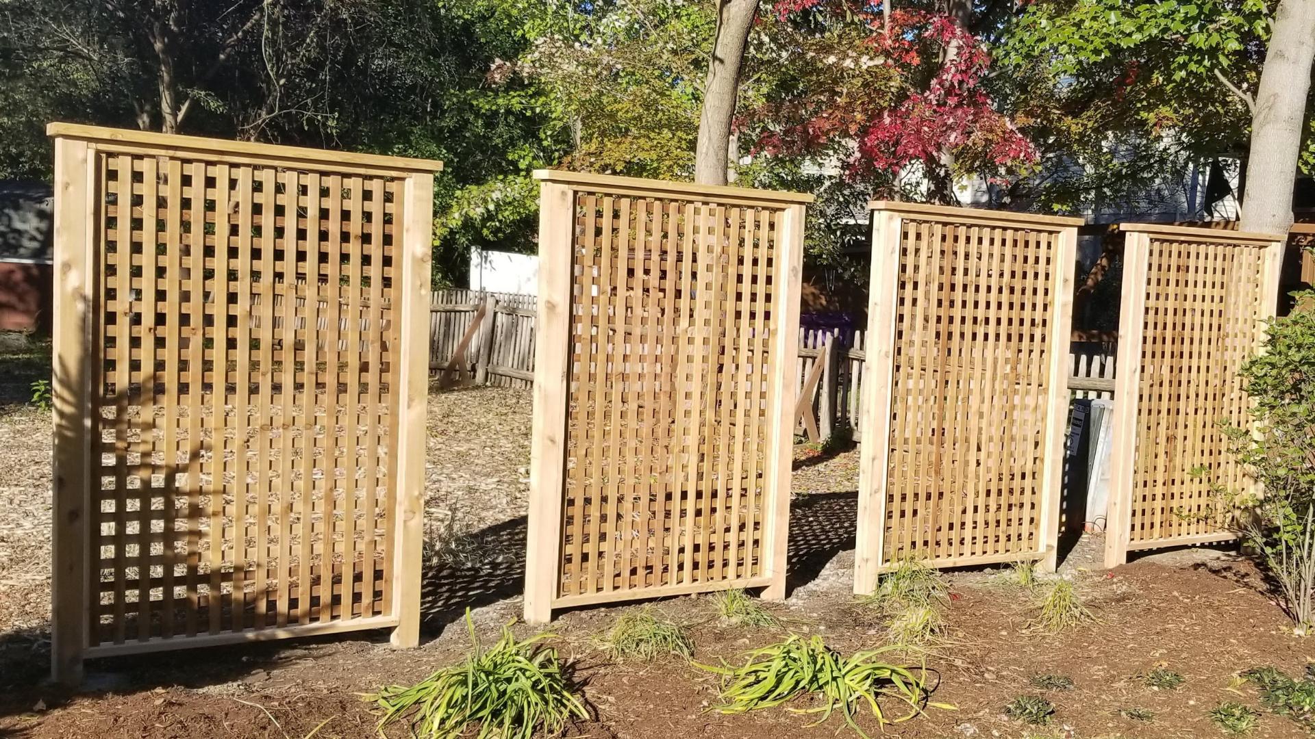 Lattice Panels